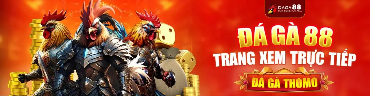 Cá cược thể thao trên bsport apk