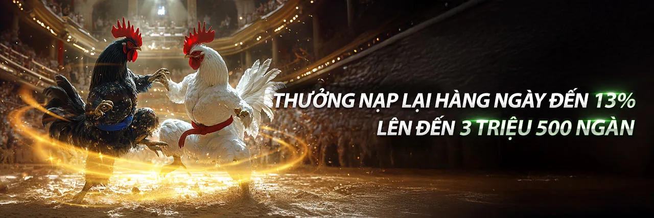 Ưu đãi độc quyền tại bsport apk 2026
